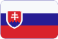 CISCO SYSTEMS (Czech Republic) s.r.o. Slovensky